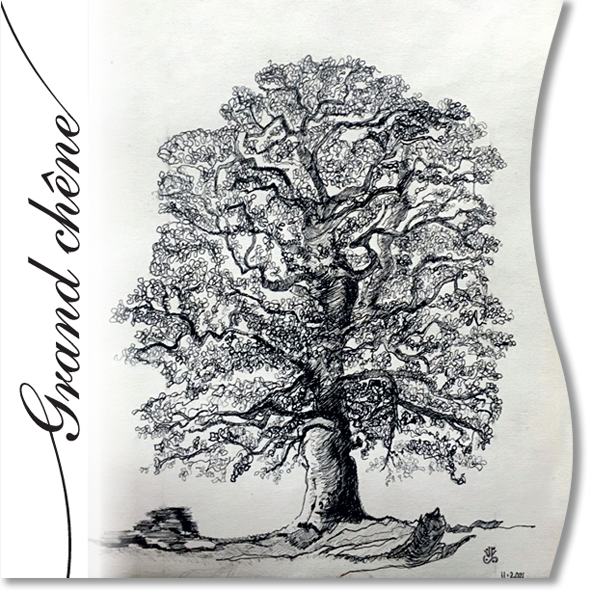 Étiquette vin rouge du Luberon "Grand chêne"