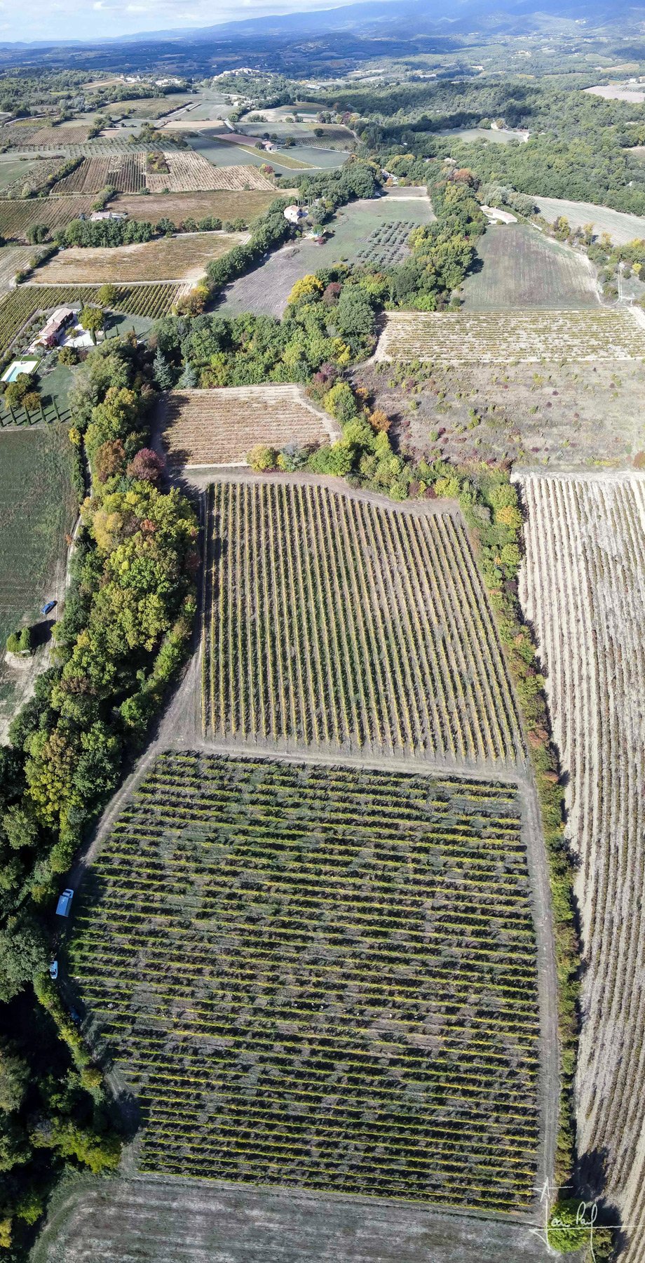 Domaine viticole BIO Regarde-moi venir, dans le Luberon